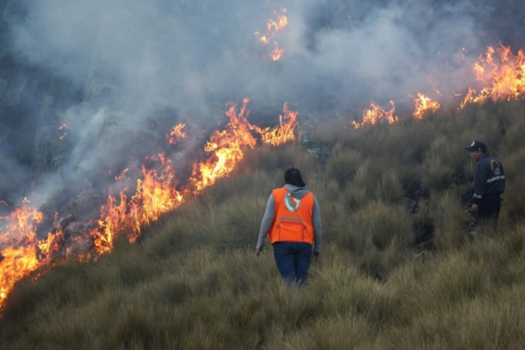 ÁNCASH EN ALERTA: 47 INCENDIOS FORESTALES PONEN A PRUEBA LA PREVENCIÓN REGIONAL