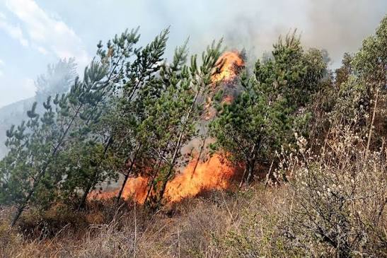 INCENDIOS EN PIRA Y MONTERREY DEJAN UNAS 20 HECTÁREAS AFECTADAS EN HUARAZ